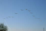 Fly By Front