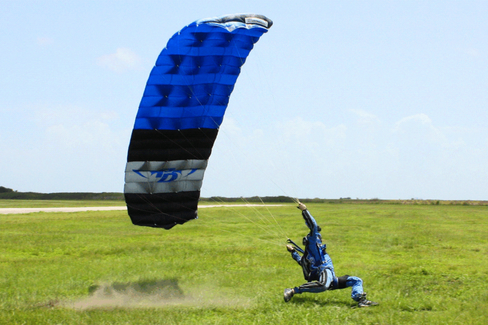 BlueWings2120