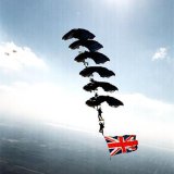 tigersflag