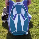 rigback