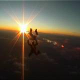 leashdog_1