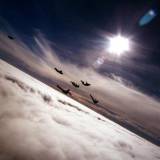 fleafry_3