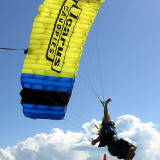 evolution_canopy