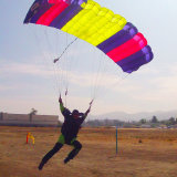 T_mickle_landing