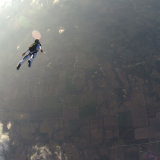 G0231282