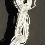 Pilot 168 Lines
