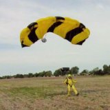 Mac Goshen Landing - King Bee (3)