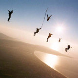 Freefly frenzy