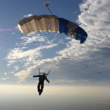 Canopy1