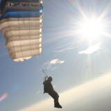 Canopy 2