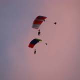 Tandem - Pepperell
