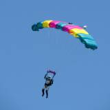 Canopy Flight - Pepperell