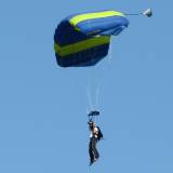 Canopy Flight - Pepperell