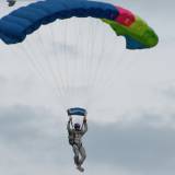 Canopy Flight - Pepperell