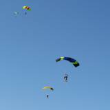 Canopy Flight - Pepperell