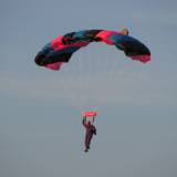 Canopy Flight - Pepperell