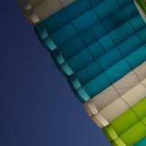 undercanopy