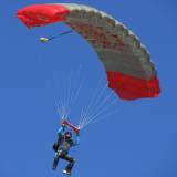 Canopy Flight - Pepperell