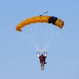 Canopy Flight - Pepperell