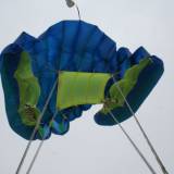 Safire 169