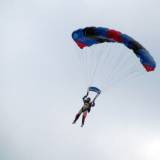 Canopy Flight - Pepperell