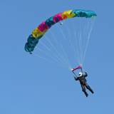 Canopy Flight - Pepperell