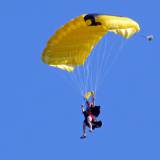 Canopy Flight - Pepperell