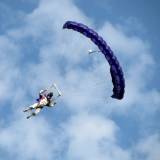 Canopy Flight - Pepperell