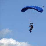 Canopy Flight - Pepperell