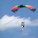 Canopy Flight - Pepperell