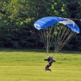 Landing - Pepperell