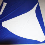 Wingsuit 1