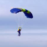 Canopy Flight - Pepperell