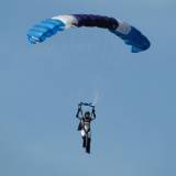 Canopy Flight - Pepperell