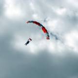 Tandem Flight - Pepperell