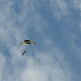 Canopy Flight