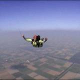 mccordia_ripcord_02