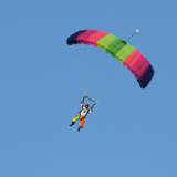 Canopy Flight - Pepperell