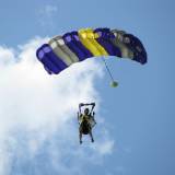 Canopy Flight - Pepperell