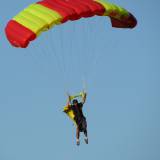 Canopy Flight - Pepperell