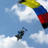 Canopy Flight - Pepperell