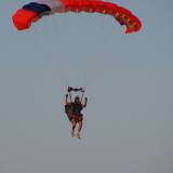 Canopy Flight - Pepperell