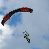Canopy Flight - Pepperell