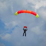 Canopy Flight - Pepperell