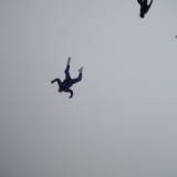 aff freefly