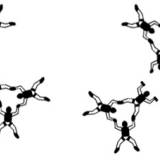 RW Article - 9 Way