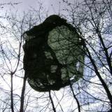 Tree Landing