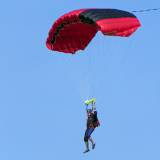 Canopy Flight - Pepperell