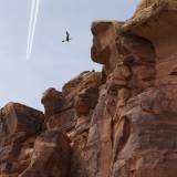 Moab