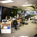 Hard at work in the office